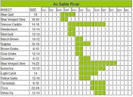 Au Sable River Hatch Chart Salmon Flies Fishing Tips