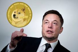 Elon Musk And Dogecoin Are Taking Over The Internet