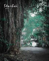 2019 Cb Background Download New Blur Photo Background Photoshop Digital Background New Background Images