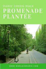 La Coulee Verte Promenade Plantee A Scenic Nature Walk In Paris World In Paris Europe Travel Paris Travel Tips Travel Europe Cheap