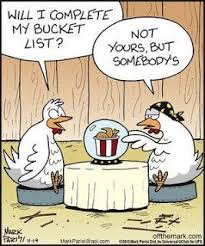 You Crack Me Up Funny Chicken Jokes And Stories Backyard Chickens Learn How To Raise Chickens Why did the chicken cross the road? you crack me up funny chicken jokes