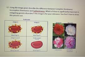 Codominance means that neither allele can mask the expression of the other allele. Solved 17 Using The Image Given Describe The Difference Chegg Com