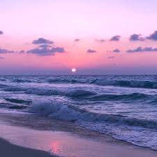 Maybe you would like to learn more about one of these? Aesthetic Pictures At The Beach