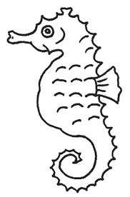Resultat De Recherche D Images Pour Etoile De Mer A Colorier Desenhos