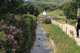 Maybe you would like to learn more about one of these? File Malta St Paul S Bay Triq J F Kennedy Dawret Il Qawra Salina National Park 06 Ies Jpg Wikimedia Commons