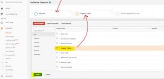How To Check Organic Traffic In Google Analytics From