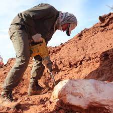 Hallaron en San Juan al dinosaurio gigante más antiguo que habitó la Tierra