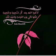 تصاميم دعويه تصاميم دينية رمزيات خلفيات صور تصميمي ادعيه اذكار تذكير نشر الخير حصن المسلم صلاه قرآن استغفار الصلاه prayers movie posters movies