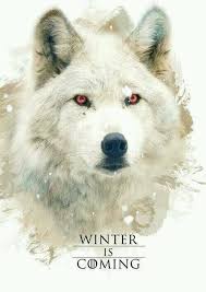 Twitter Game Of Thrones Fans Game Of Thrones Ghost Game Of Thrones Art