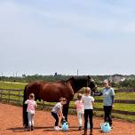 Horse Care Summer Day Camp, July