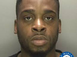 Jailed: Speeding driver was racing before he killed grandmother as she  crossed the road