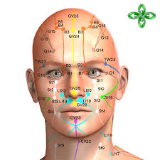Facial Acupuncture Points Google Search Acupuncture