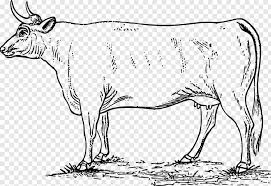 Dihalaman ini anda akan melihat gambar keren animasi hitam putih yang menarik! Cow Vector Gambar Hewan Sapi Hitam Putih Hd Png Download 2400x1649 9726258 Png Image Pngjoy