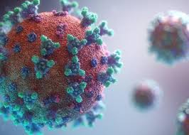 The world health organization (who) named it the delta variant on 31 may 2021. V0xdoykm4svoam