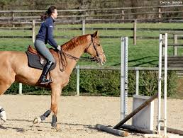 Pénélope leprévost had a passion for animals at a young age, and started riding ponies at the age of three, going on to compete as an amateur. Penelope Leprevost Ce N Est Pas Avec La Force Les Embouchures Ou Les Eperons Que J Arrive A Ce Que Je Veux