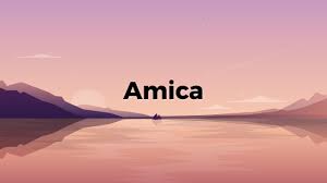 What you need to know. Amica Auto Insurance Review For 2021 Coverage Com