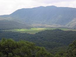 Latentes daños en la primavera; Cronicas Jonicas El Bosque De La Primavera Y Sus Piedras Bola