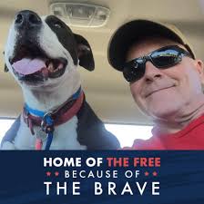 What did you notice in the video?