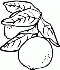 Maybe you would like to learn more about one of these? Pictures Of Lemons Coloring Home