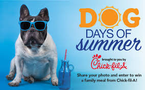 But, as with many popular expressions, have you ever taken the time to think about what the phrase actually means? Dog Days Of Summer Photo Contest Promotions Thepilot Com