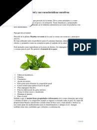 Mentol Y Sus Caracteristicas Curativas Docx Medicamentos Con Receta Especialidades Medicas