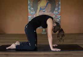 And i must say, sometimes animals do their yoga postures even better. 10 Yoga Poses Taken From The Wild Londolozi Blog