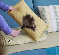 Swiffer Piumini Spolverino In Piuma Di Struzzo - Con Manico In Legno (32  Cm) Piumino Per Spolverare