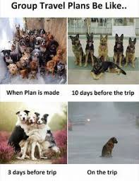19 Funny Animal Pictures That Will Make You Laugh Out Loud Funny Memes9 Vacation Meme Travel Meme Travel Puns