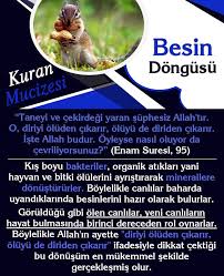 Kuran Mucizeleri Iman Hakikati Cicekler Bocekler Kuslar Baliklar Bakteriler Hayvanlar Gokyuzu Yeryuzu Mucizeler Charles Darwin Evrim Kuran
