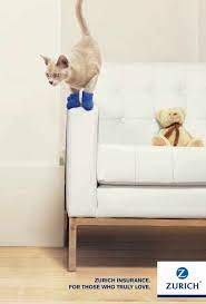 We review the best pet insurance companies based on cost, coverage pet assure was founded in 1995 by a pet owner whose pet insurance denied a $3,000 hip surgery for his dog. è‹é»Žä¸–ä¿é™© çŒ« Pet Care Cats Cat Illnesses Dog Insurance
