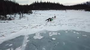 We are pleased to inform you that you've come to the right place. Life Below Zero Next Generation Tv Series 2020 Imdb