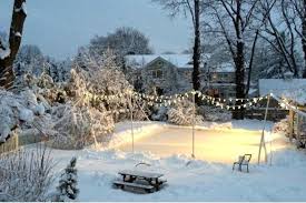 We welcome you to come join the most active, fastest growing, and #1 backyard ice rink community! Table Of Contents Holidays Abroad Gardenista Backyard Ice Rink Outdoor Ice Skating Ice Rink