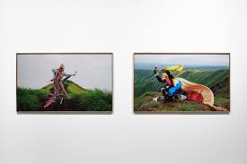 Image result for Elymandra