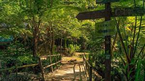Scopri ricette, idee per la casa, consigli di stile e altre idee da provare. Coban Siuk Pemandangan Alami Dengan Bonus Air Terjun Mini Di Dalamnya