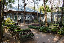 NAKHON RATCHASIMA Province