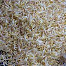 Irisan bawang dan cabai, baru kemudian tauge dimasukkan terakhir. Toge Tauge Sayur Toge 500gr Shopee Indonesia