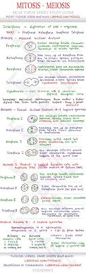 Mitosis Meiosis Comparison Worksheet Mitosis And Meiosis Mcat Cheat Sheet Study Guide In 2020 Teaching Biology Mcat Study Biology