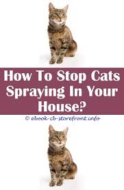 13 Prodigious Cat Spray Dog Urine