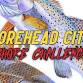 6th Annual Morehead City Inshore Challenge @ Tipsy... event in Atlantic Beach, NC