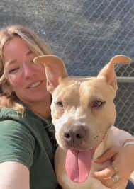 Saving Riverside Dogs: Including San Jacinto and Coachella Campus