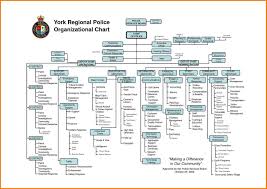 57 Prototypical Microsoft Organizational Chart Software