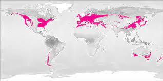 Deciduous Forest Location Map Temperate Deciduous Forest Sample Location Map