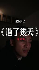 過了幾天》翻唱精彩表現| TikTok