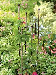 5 Favorites Garden Tuteurs Gartenstrukturen Rankgitter Und Rost Deko Garten