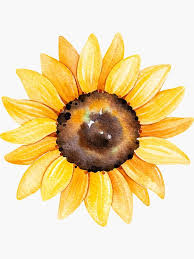 Watercolor Sunflowers Sticker By Southprints Sunflower Watercolor Painting Watercolor Sunflower Sunflower Painting