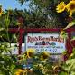 Hayrides, Pumpkin Patch, Corn Maze event image