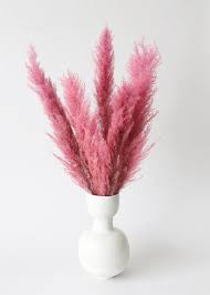 Add some rich color to your dried flower arrangements with this beautiful pink burgundy dried phalaris grass. The 10 Best Dried Floral Arrangements Of 2021