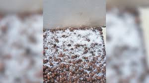 Uberlândia entra em alerta amarelo para risco de tempestade e Monte Alegre de Minas registra chuva de granizo