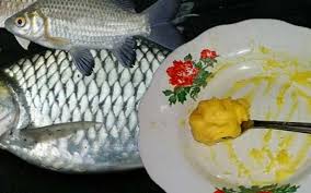 Seperti namanya, ikan mas ini memiliki warna oranye keemasan. 20 Umpan Ikan Tawes Cara Meracik Paling Jitu