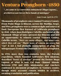 Image result for Beige Antelope 1983 Fleet